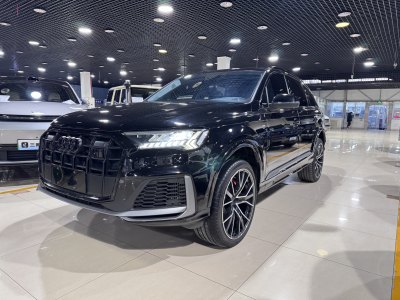 2022年8月 奧迪 奧迪Q7(進(jìn)口) 55 TFSI quattro S line冰雪運(yùn)動(dòng)版圖片