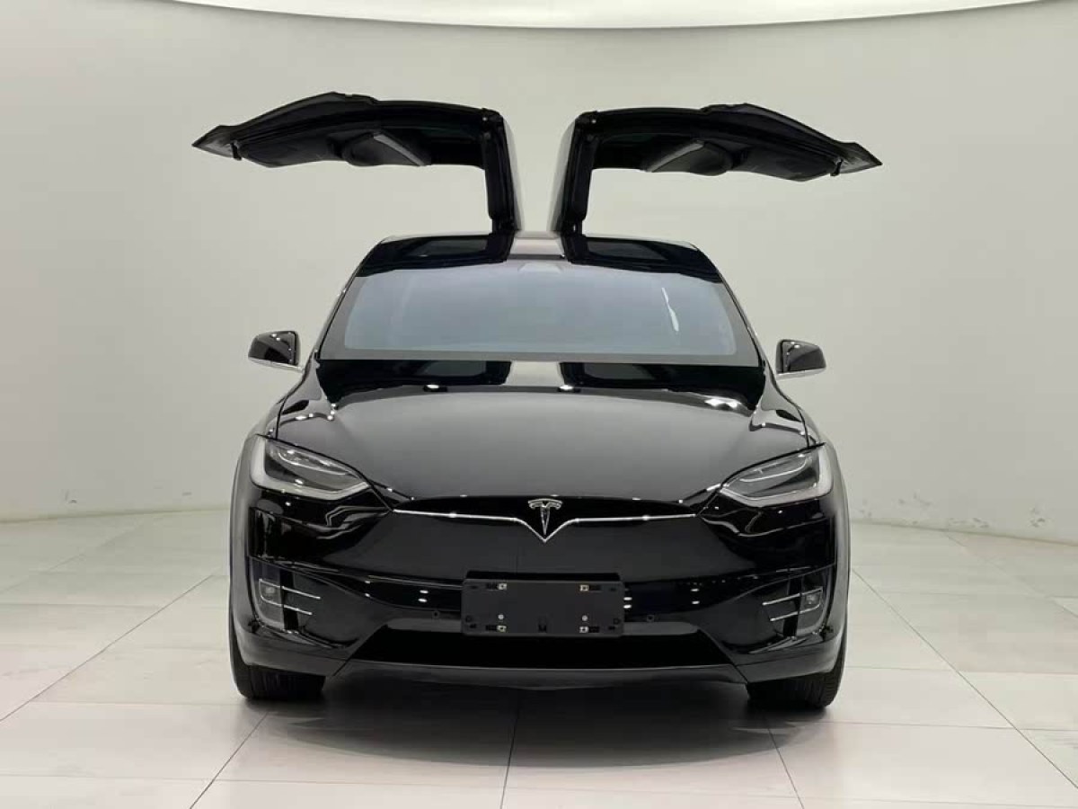 特斯拉 Model X  2019款 長續(xù)航版圖片
