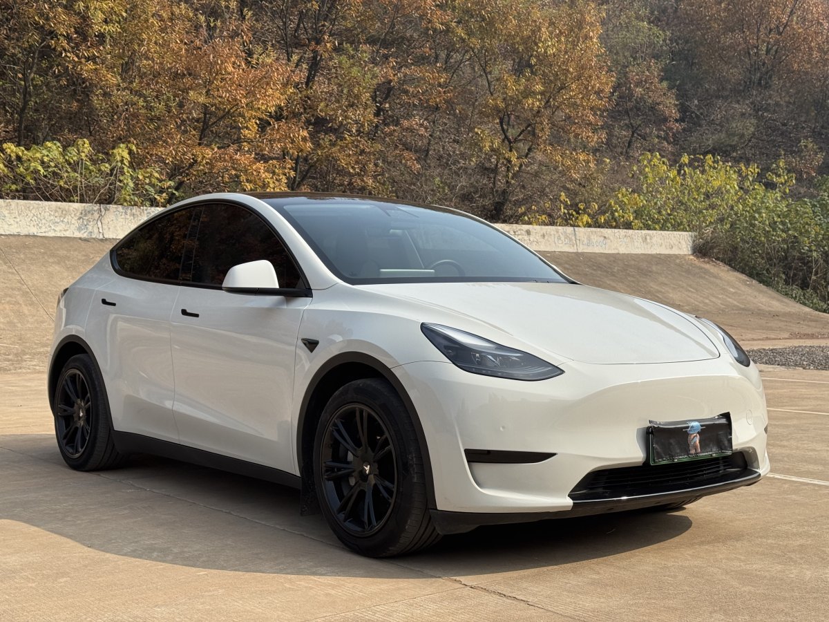 特斯拉 Model 3  2022款 后輪驅(qū)動版圖片