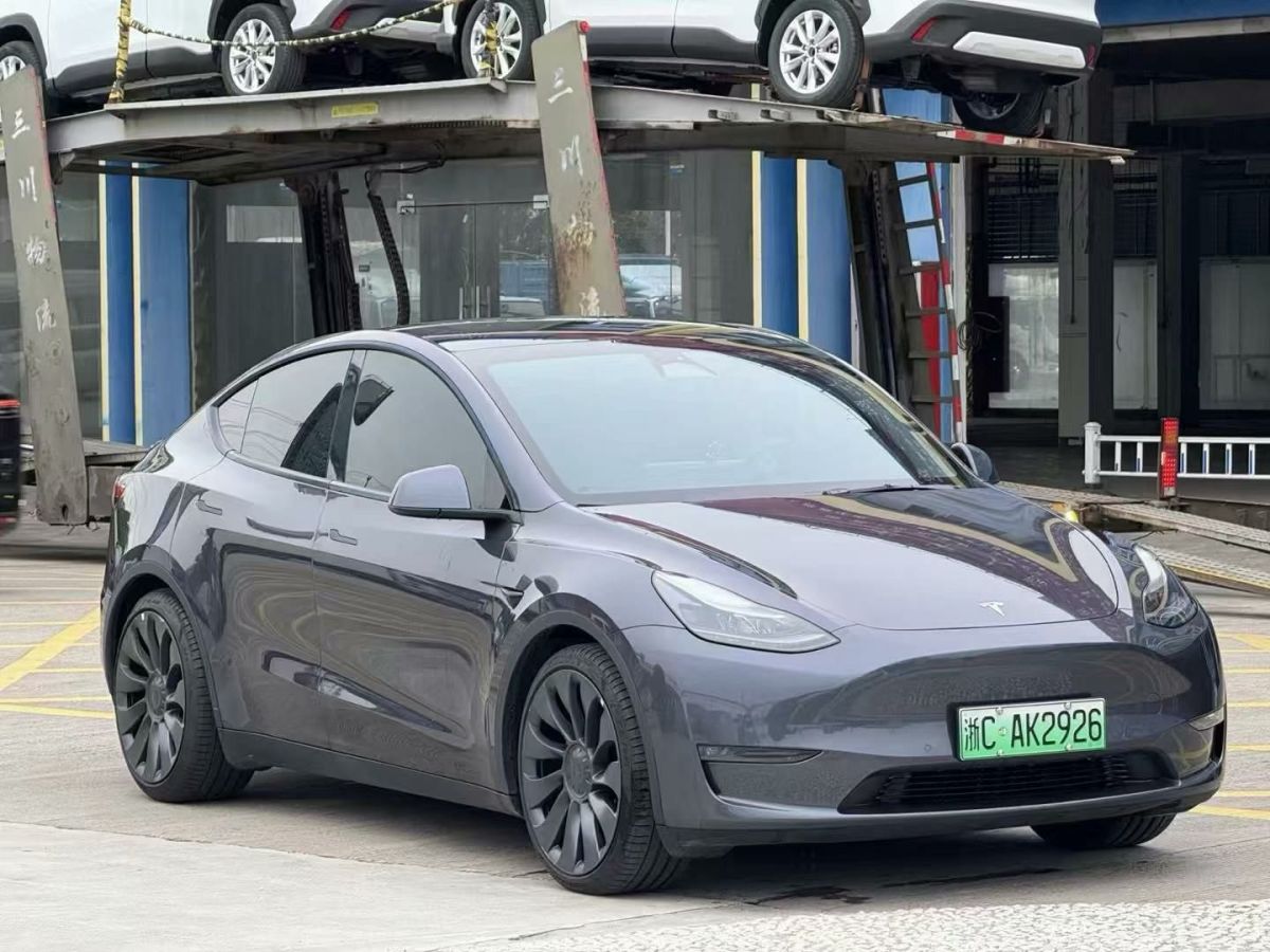 特斯拉 Model Y  2024款 Performance高性能版圖片