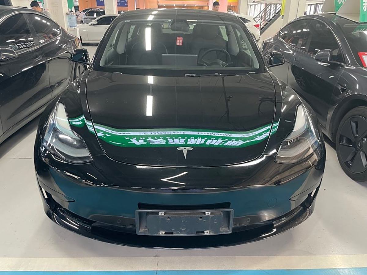 特斯拉 Model 3  2021款 改款 標(biāo)準(zhǔn)續(xù)航后驅(qū)升級(jí)版圖片