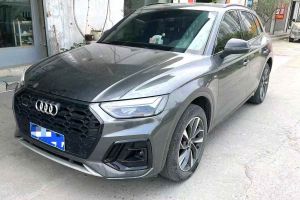 奧迪Q5 e-tron 奧迪 40 e-tron 星耀型 影武士版