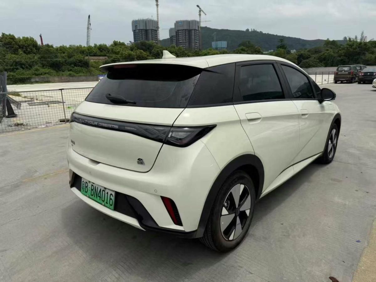 比亞迪 海豚  2023款 401km 騎士版圖片