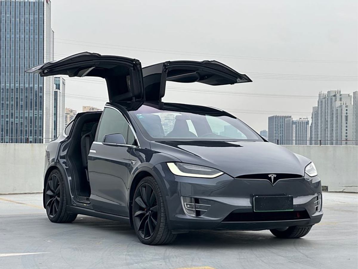 特斯拉 Model X  2019款 長續(xù)航版圖片