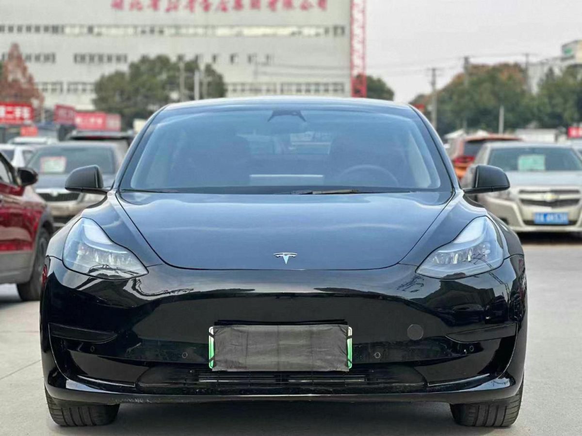 特斯拉 Model S  2023款 三電機(jī)全輪驅(qū)動(dòng) Plaid版圖片