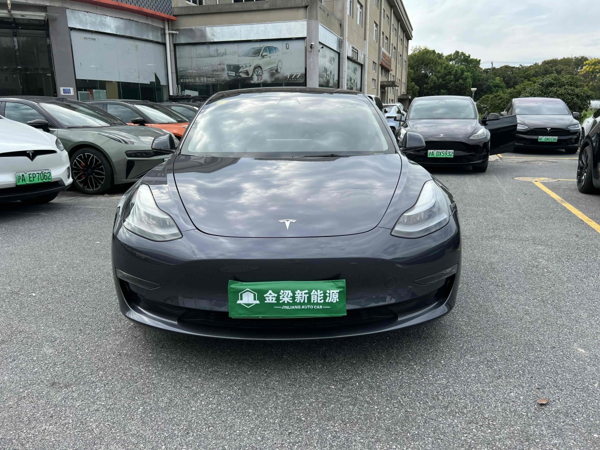 2021年6月特斯拉 Model 3  2019款 Performance高性能全輪驅(qū)動(dòng)版