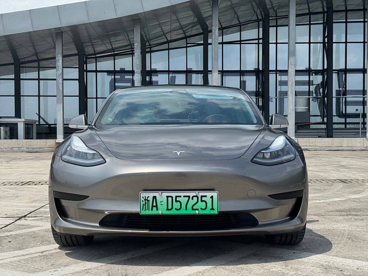 2020年6月特斯拉 Model 3  2020款 改款 標(biāo)準(zhǔn)續(xù)航后驅(qū)升級(jí)版