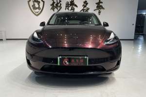 Model Y 特斯拉 后轮驱动版