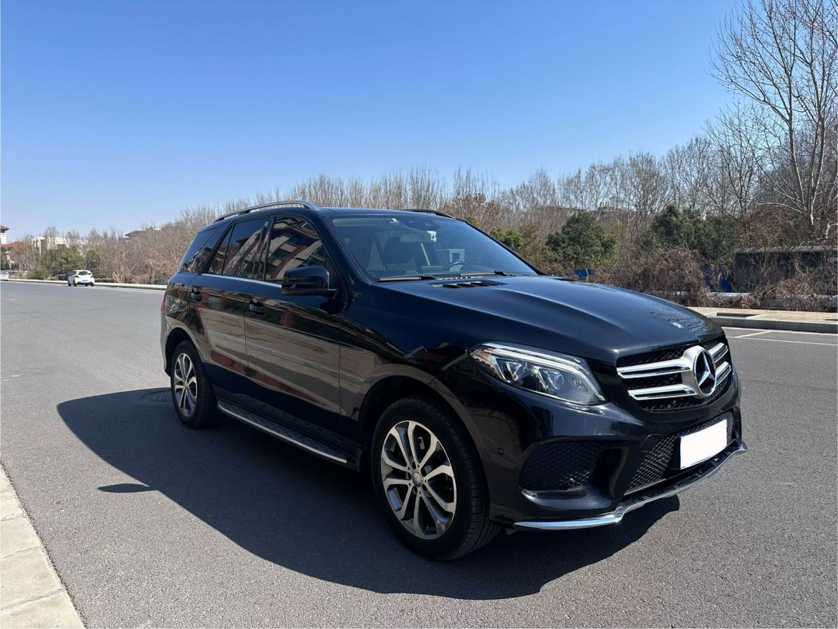 奔馳 奔馳GLE  2016款 GLE 320 4MATIC 動感型圖片