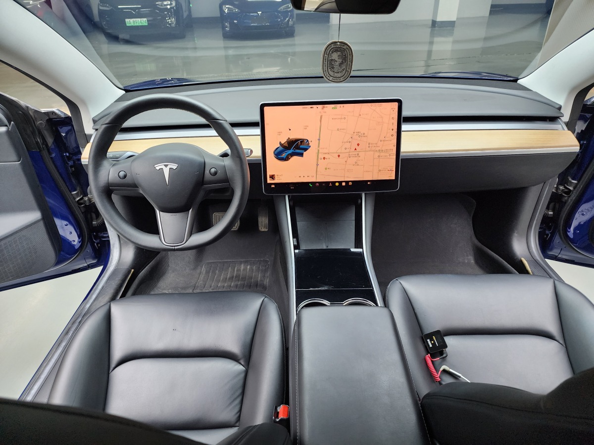 特斯拉 Model 3  2019款 标准续航后驱升级版图片