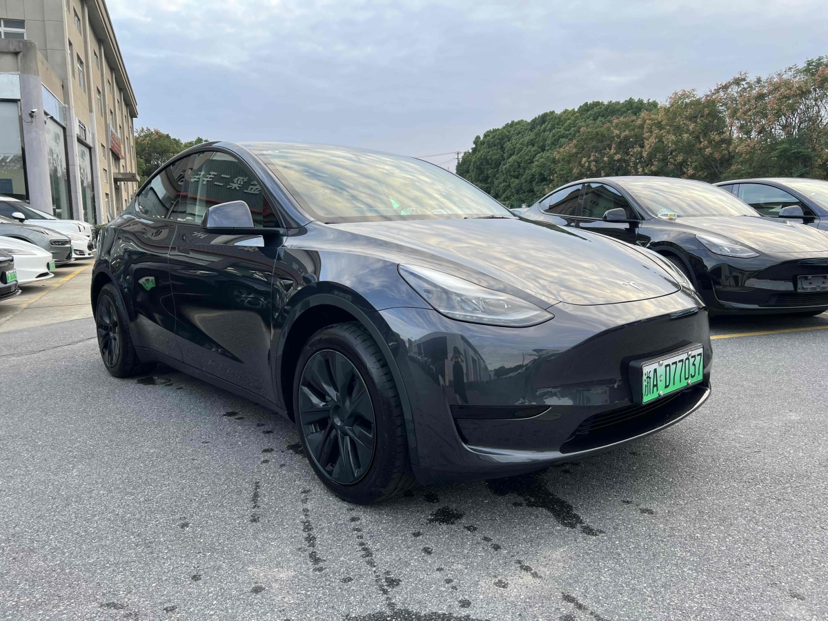 特斯拉 Model Y  2020款 改款 長(zhǎng)續(xù)航后輪驅(qū)動(dòng)版圖片