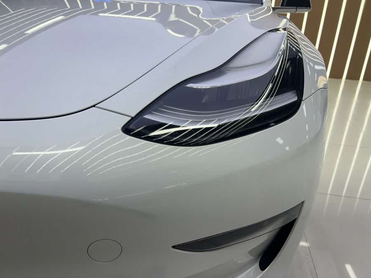 特斯拉 Model 3  2020款 改款 長續(xù)航后輪驅(qū)動版圖片