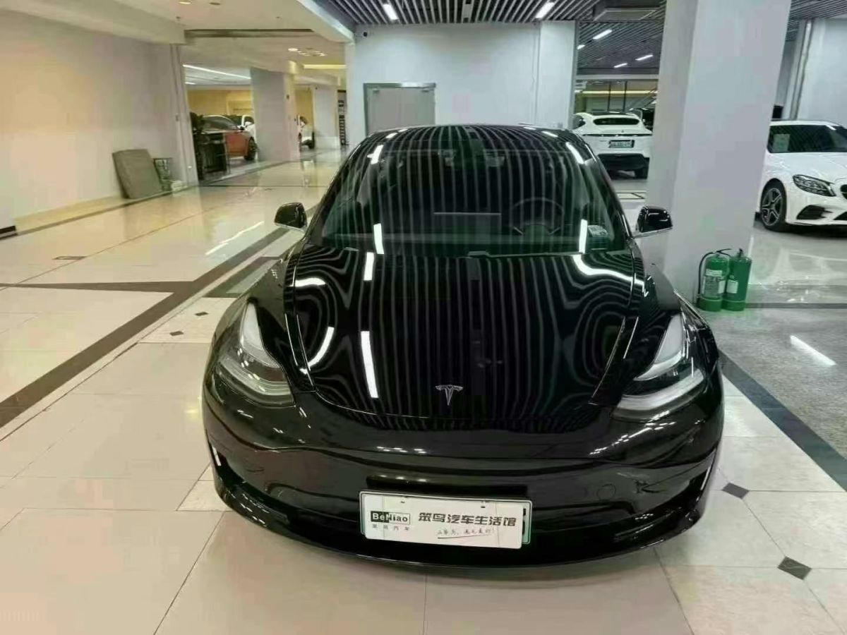 特斯拉 Model Y  2021款 標(biāo)準(zhǔn)續(xù)航后驅(qū)版圖片