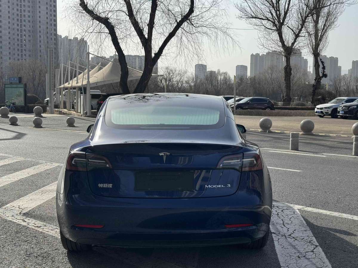 特斯拉 Model 3  2020款 改款 標(biāo)準(zhǔn)續(xù)航后驅(qū)升級版圖片