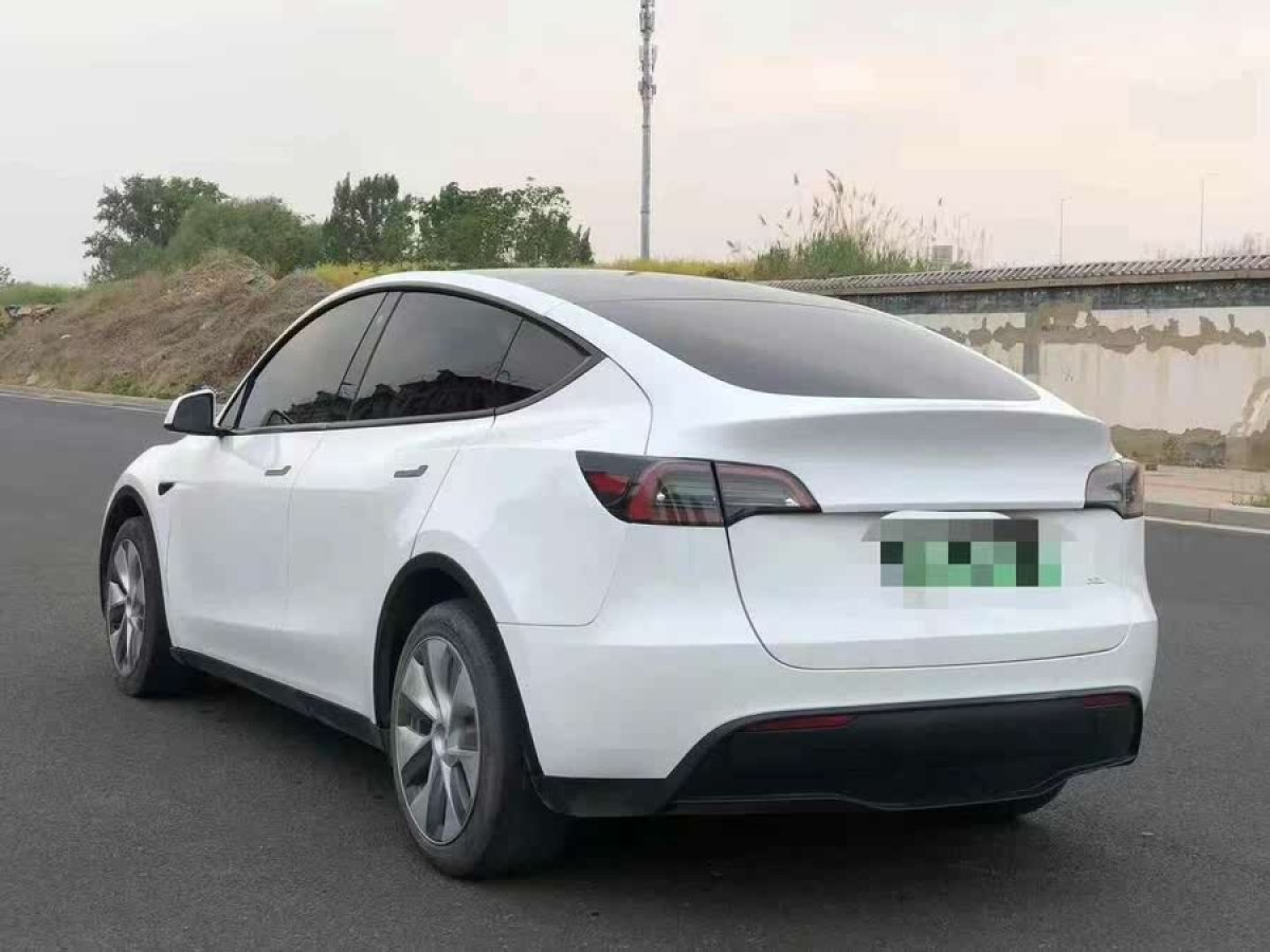 特斯拉 Model Y  2024款 后輪驅動版圖片