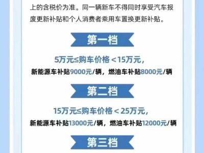 2000年1月 比亚迪 元 图片