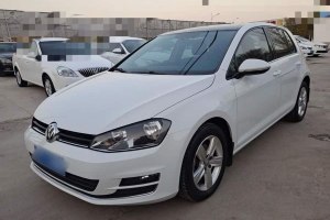高爾夫 大眾 1.6L 自動(dòng)舒適型