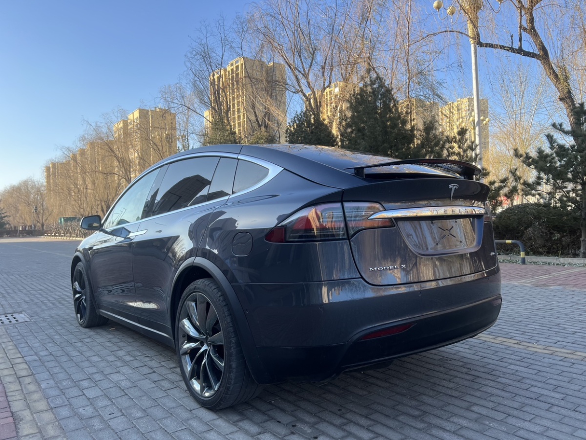 特斯拉 Model X  2019款 標準續(xù)航版圖片