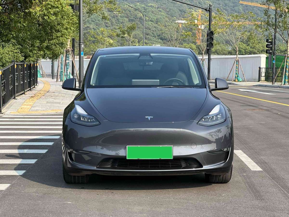 特斯拉 Model Y  2021款 改款 標(biāo)準(zhǔn)續(xù)航后驅(qū)升級版圖片