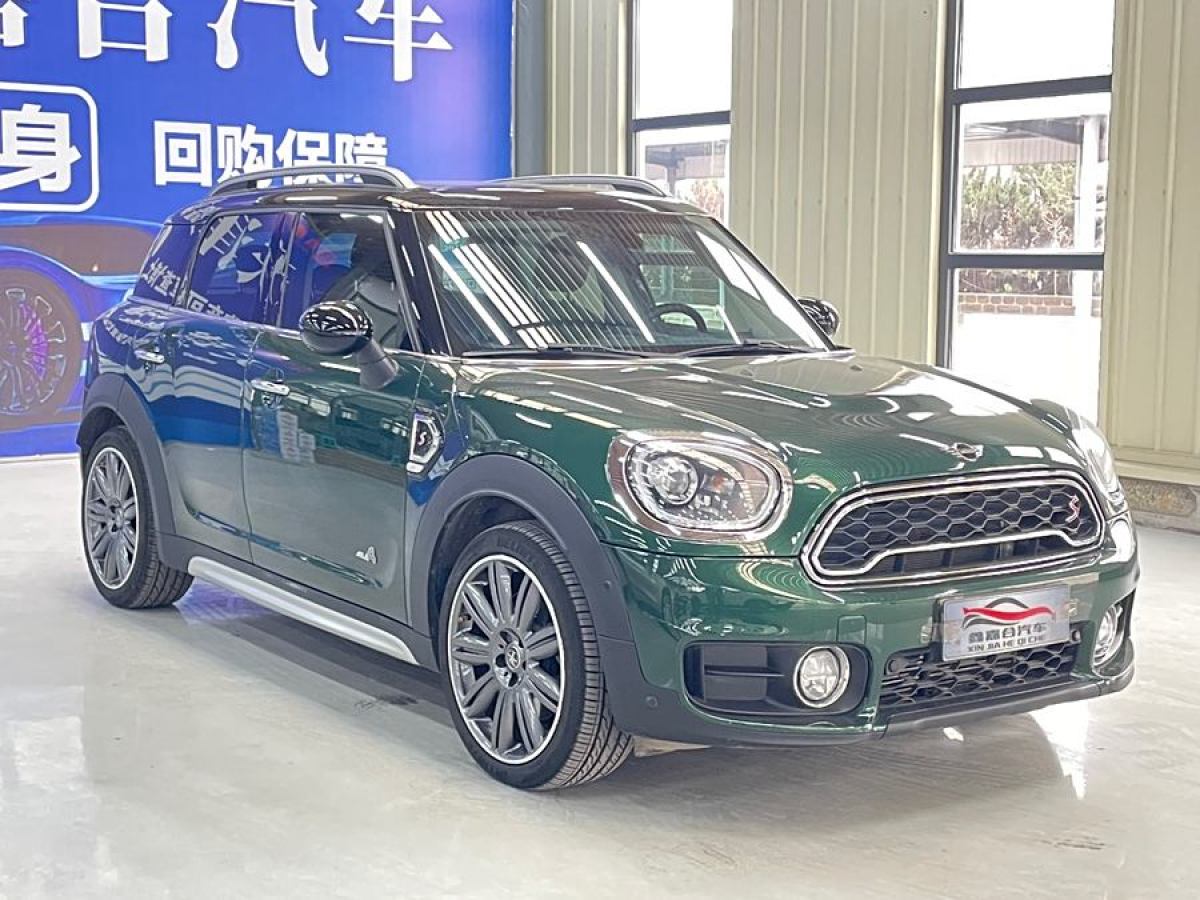 MINI COUNTRYMAN  2018款 2.0T COOPER S ALL4 藝術(shù)家圖片