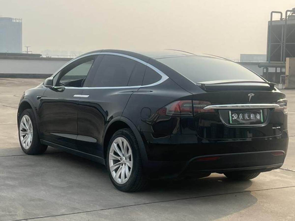 特斯拉 Model X  2020款 長續(xù)航升級版圖片