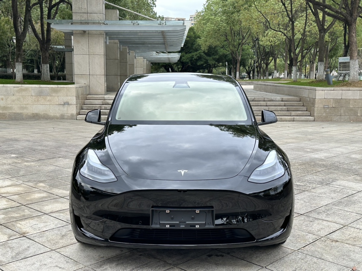 特斯拉 Model 3  2021款 改款 標(biāo)準(zhǔn)續(xù)航后驅(qū)升級(jí)版圖片