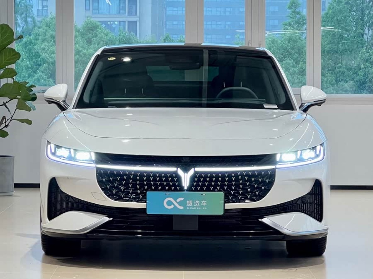 嵐圖 嵐圖追光  2024款 PHEV 四驅(qū)超長續(xù)航旗艦版圖片