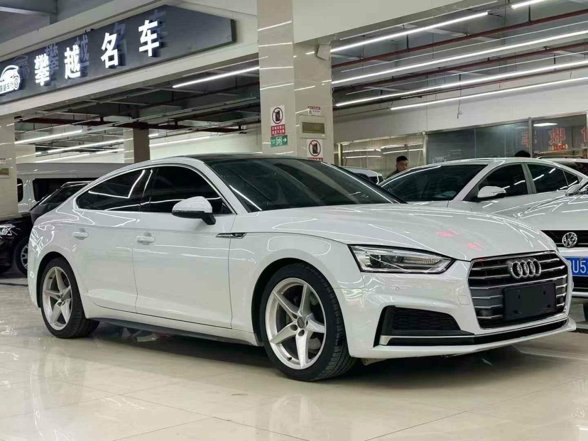 奧迪 奧迪Q5  2018款 典藏版 40 TFSI 技術(shù)型圖片