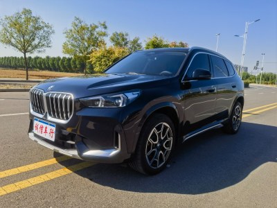 2023年1月 宝马 宝马X1 xDrive25Li X设计套装图片