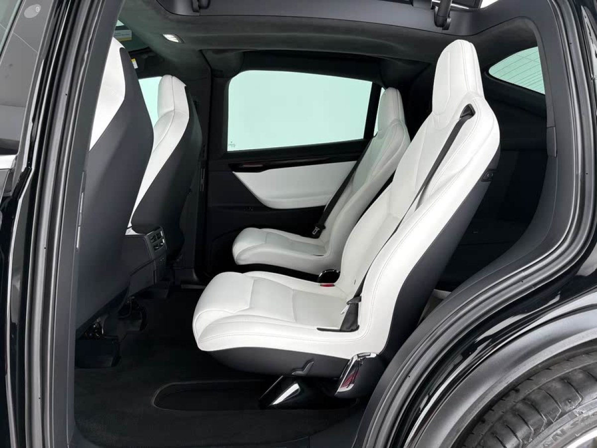 特斯拉 Model X  2019款 Performance 高性能版圖片