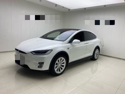 2019年4月 特斯拉 Model X Model X 100D 長續(xù)航版圖片