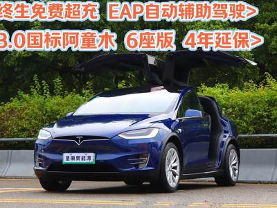 2017年12月 特斯拉 Model X Model X 100D 長續(xù)航版圖片