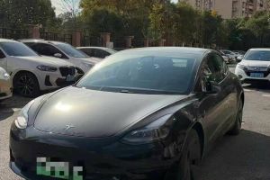 Model S 特斯拉 Plaid Plus 版