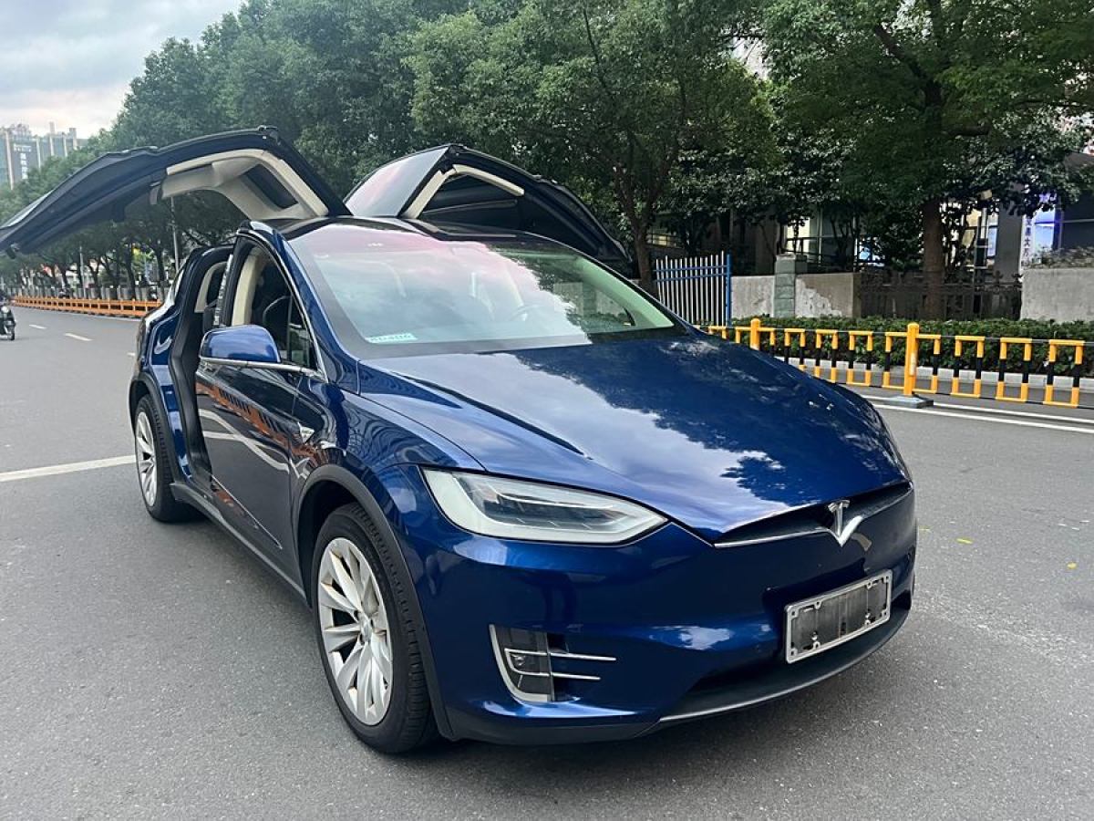 特斯拉 Model X  2016款 Model X 90D圖片