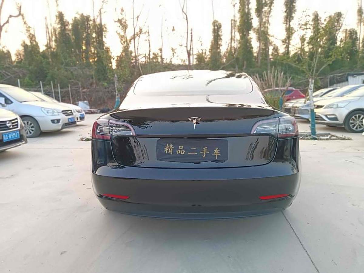 特斯拉 Model 3  2020款 改款 標(biāo)準(zhǔn)續(xù)航后驅(qū)升級版圖片