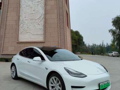 2020年6月 特斯拉 Model 3 標(biāo)準(zhǔn)續(xù)航后驅(qū)升級版圖片