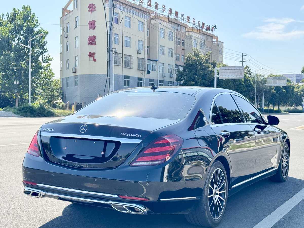 奔驰 奔驰S级  2019款 S 350 L 豪华型 臻藏版图片