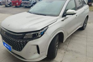 藍(lán)電E5 賽力斯 1.5L DE-i 100KM臻享型 7座