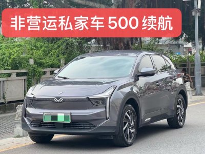 2022年4月 哪吒 哪吒U 哪吒U-Ⅱ 500 行業(yè)版圖片