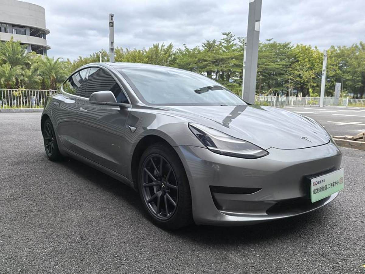 特斯拉 Model Y  2020款 改款 長續(xù)航后輪驅(qū)動版圖片