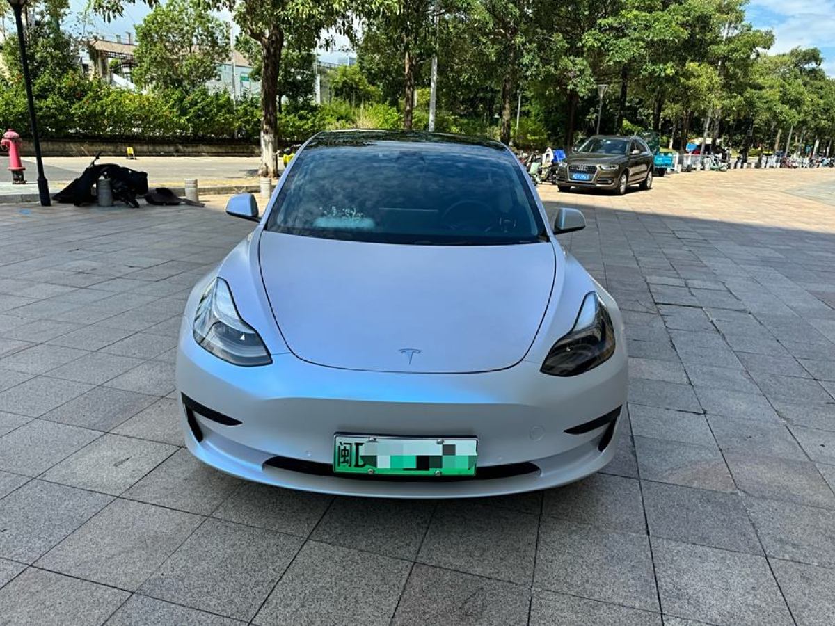 特斯拉 Model Y  2021款 改款 標(biāo)準(zhǔn)續(xù)航后驅(qū)升級(jí)版圖片