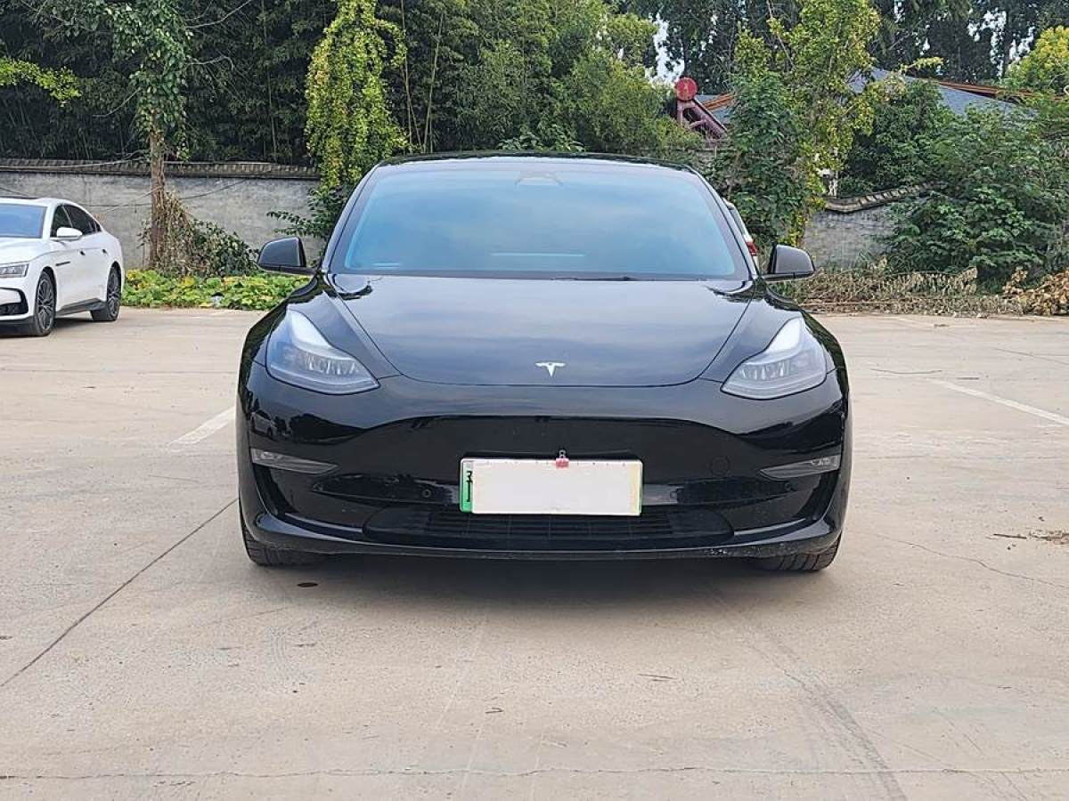 特斯拉 Model 3  2021款 Performance高性能全輪驅(qū)動(dòng)版圖片