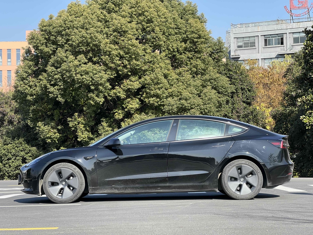 特斯拉 Model 3  2019款 標(biāo)準(zhǔn)續(xù)航后驅(qū)升級版圖片