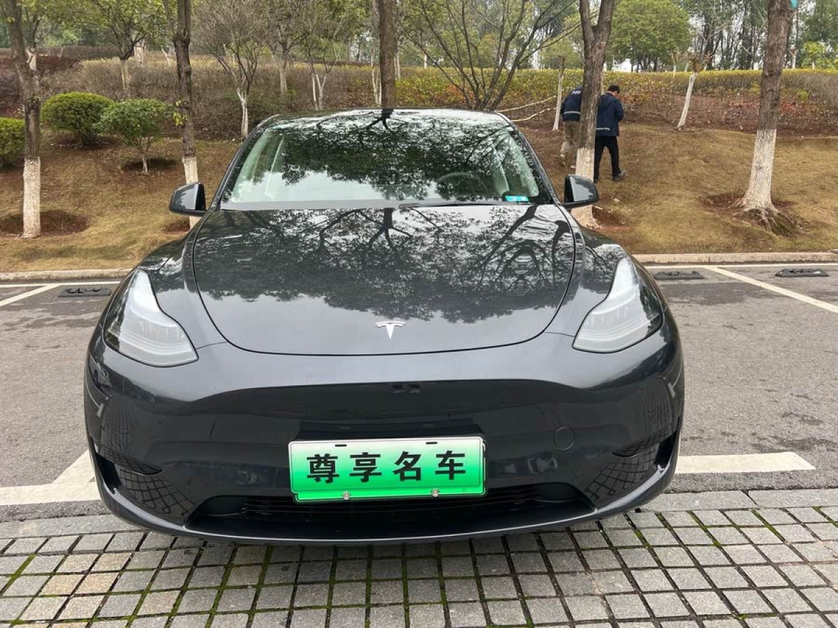 特斯拉 Model Y  2024款 后輪驅(qū)動(dòng)版圖片