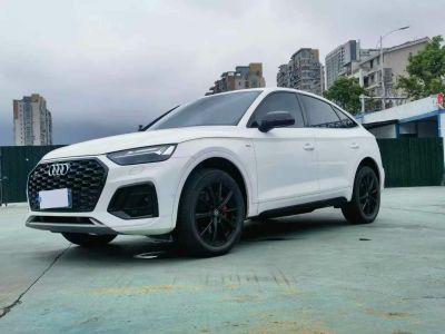 2022年1月 奧迪 奧迪Q5 e-tron 40 e-tron 星耀型 機(jī)甲套裝圖片