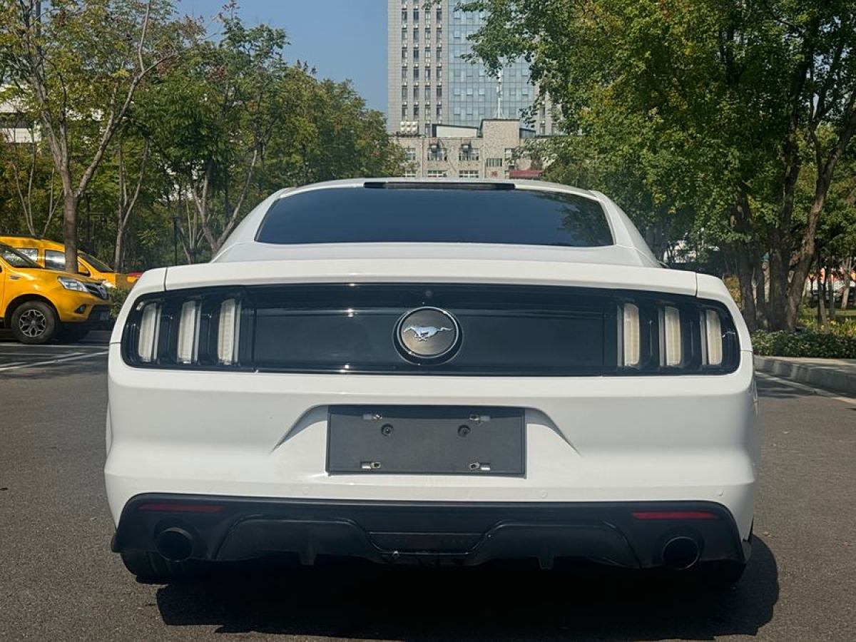 福特 Mustang  2015款 2.3T 性能版圖片