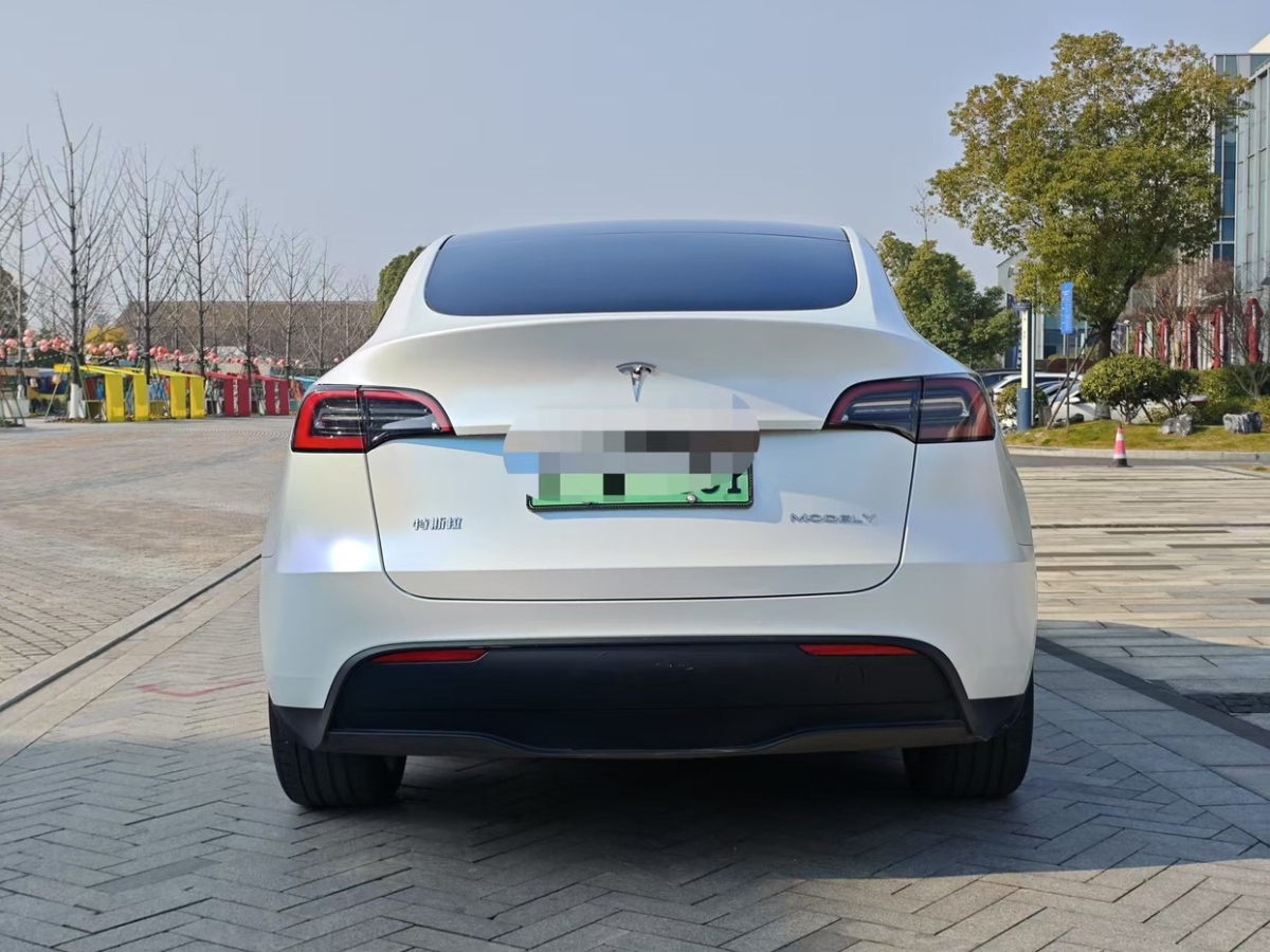 特斯拉 Model Y  2023款 長(zhǎng)續(xù)航全輪驅(qū)動(dòng)版圖片