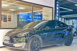 Model Y 特斯拉 改款 后輪驅(qū)動版