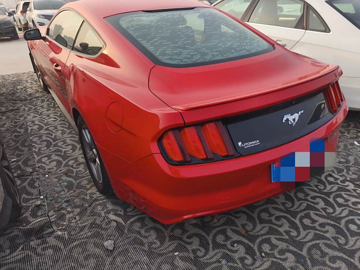 福特 Mustang  2015款 2.3T 性能版圖片