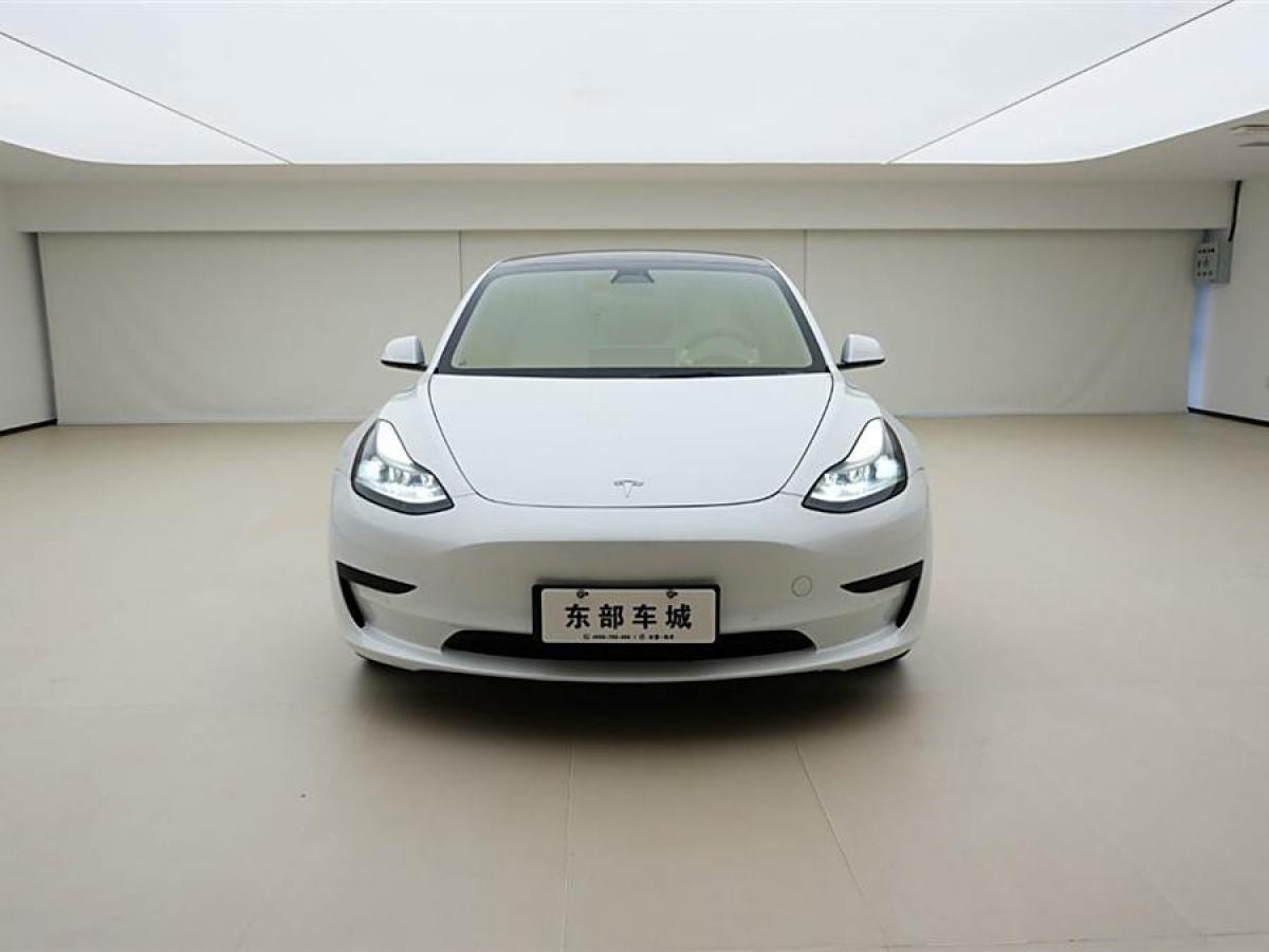 特斯拉 Model 3  2021款 改款 標(biāo)準(zhǔn)續(xù)航后驅(qū)升級版圖片